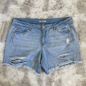 Womens 14 Refuge Raw Hem High Waist Distressed Jean Shorts